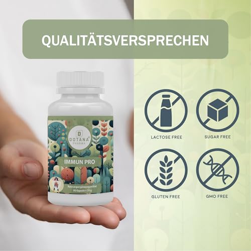 Immunsystem stärken: Ganzjahres-Guide für starke Abwehrkräfte und gesunde Routinen
