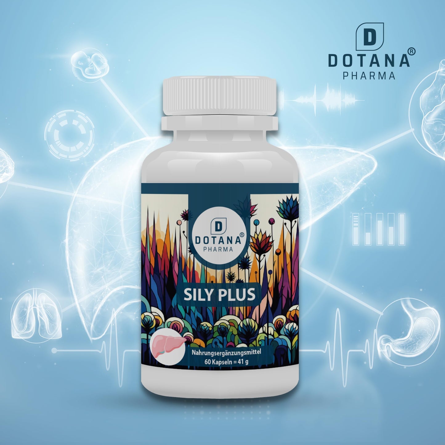 Leberwerte ALT AST GGT einfach erklärt: Bedeutung, Ursachen und Tipps zur Unterstützung