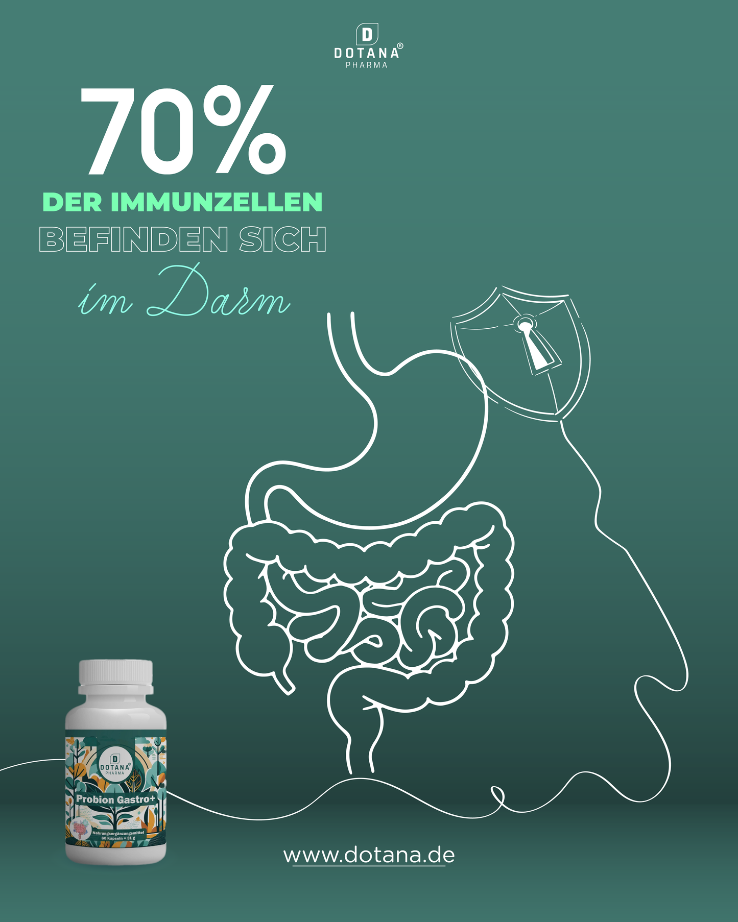 Darmgesundheit und Immunsystem: Warum 70 % Ihrer Immunzellen im Darm sitzen – und wie Sie Ihre Abwehr gezielt stärken